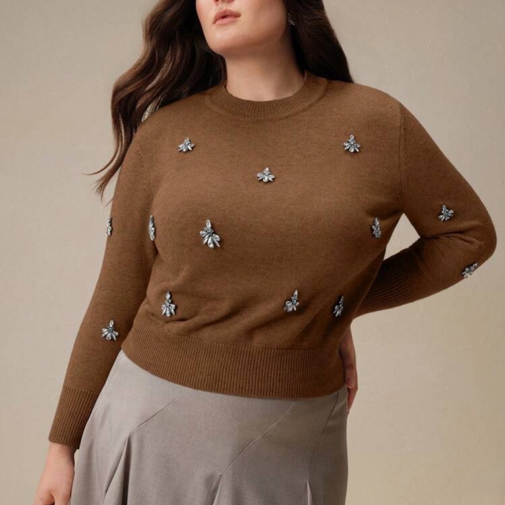 🤎 PLUS Embellished Sweater 🤎